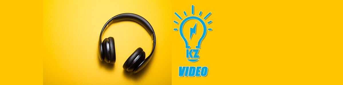Video - Zoom Webinar for Professionals and Staff (recording)