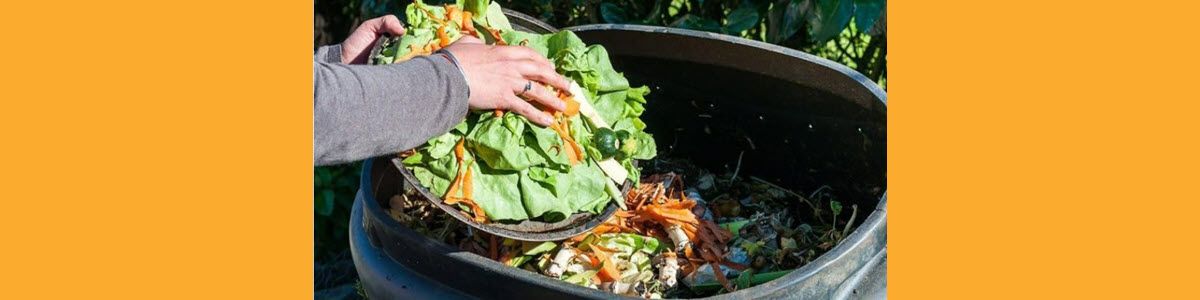 How to Compost at Home