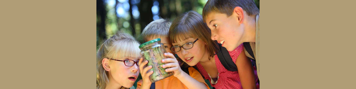 12 Fun Summer Camp Crafts and Activities to Try at Home