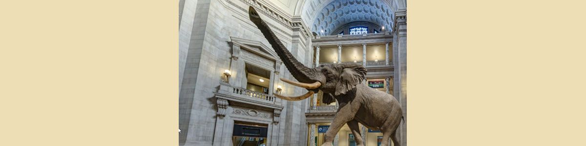 Natural History Museum