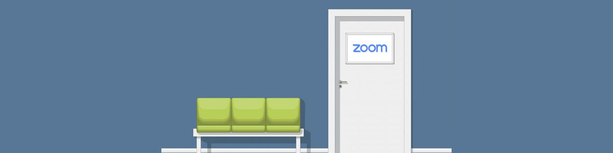 Zoom Passcodes & Waiting Rooms