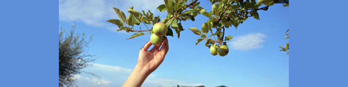 33 Fun Things You Can Still Do This Fall (Even During a Pandemic)