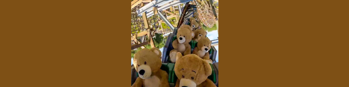 The Teddy Bear Rollercoaster Ride