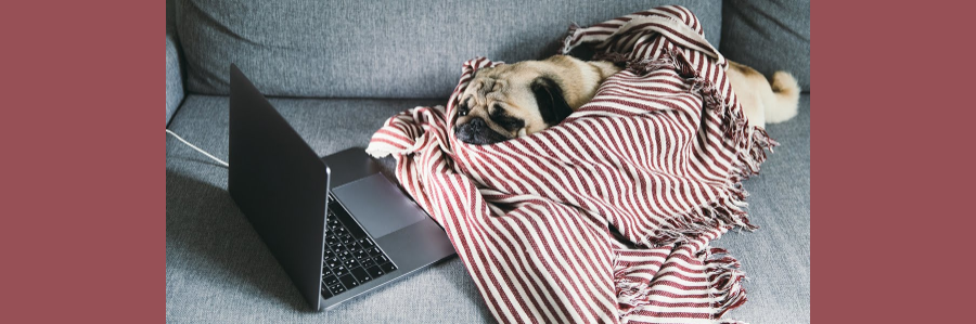 Feeling Overwhelmed? Here’s How to Get Through the Workday.