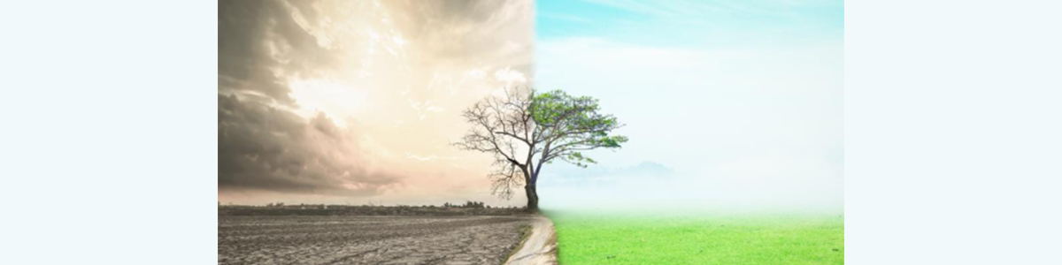 5 Ways To Go From A Scarcity To Abundance Mindset