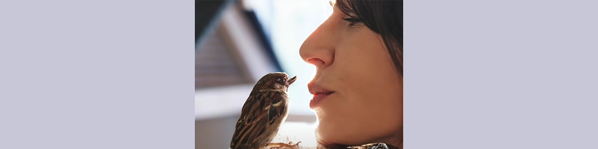 This rescued sparrow is convinced he's a dog