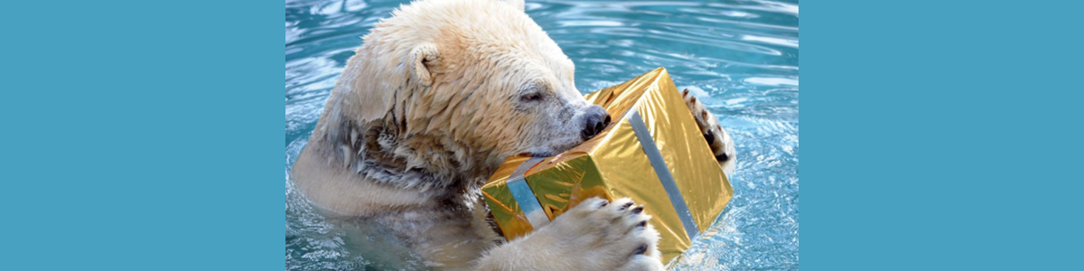 Gift Giving Season Doesn’t Have to Wreck Your Finances