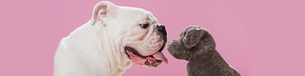 How to Become a Better Listener