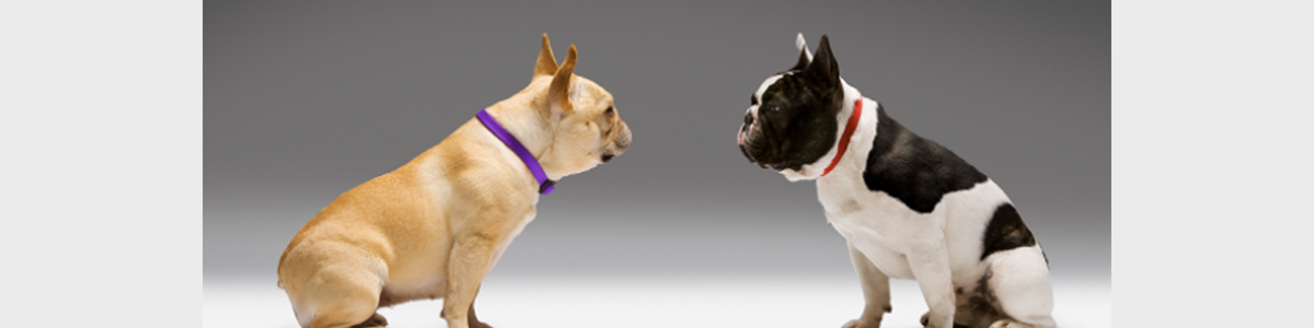 How to Respectfully Discuss Contentious Issues at Work