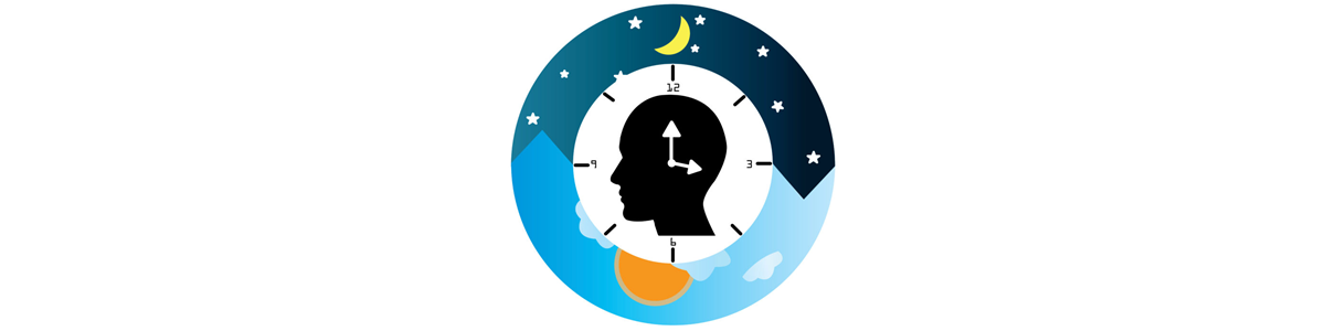 Sleep Drive and Your Body Clock