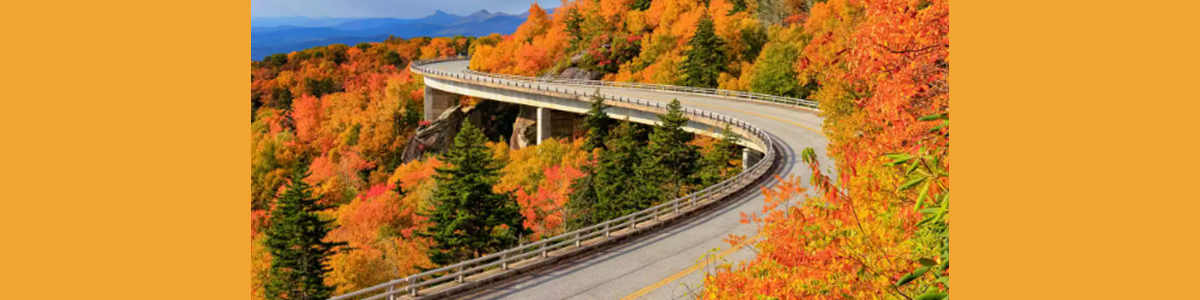 14 Fall Road Trips for Stunning Scenery Around the U.S.