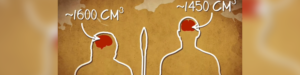 7 YouTube Channels To Keep Your Brain Working Over The Holidays