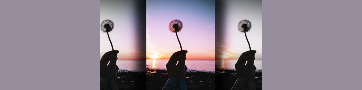Why Being A Highly Sensitive Person Could Be Your Greatest Professional Asset