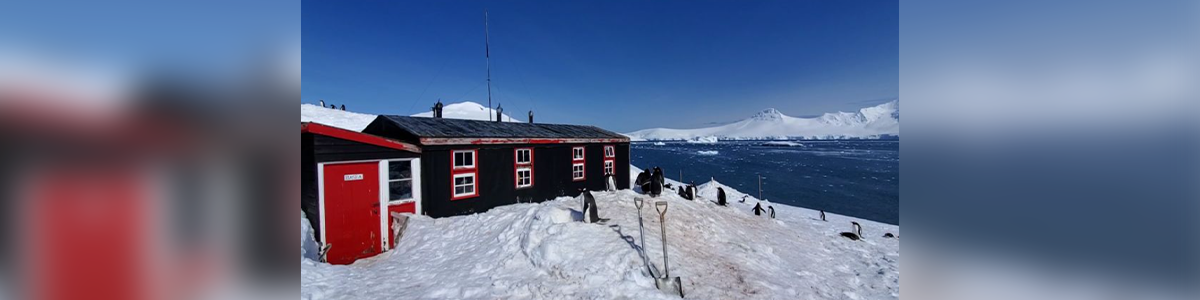 ‘Penguins Everywhere’: See What It’s Like To Work In A Very Remote Post Office